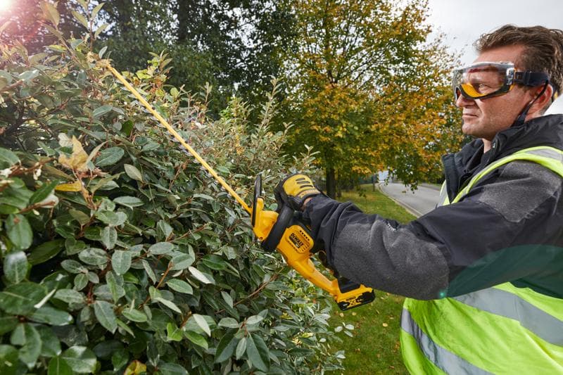 Persoon trimt struiken met een DEWALT DCM563PB heggenschaar buiten, naast een straat met herfstbomen.