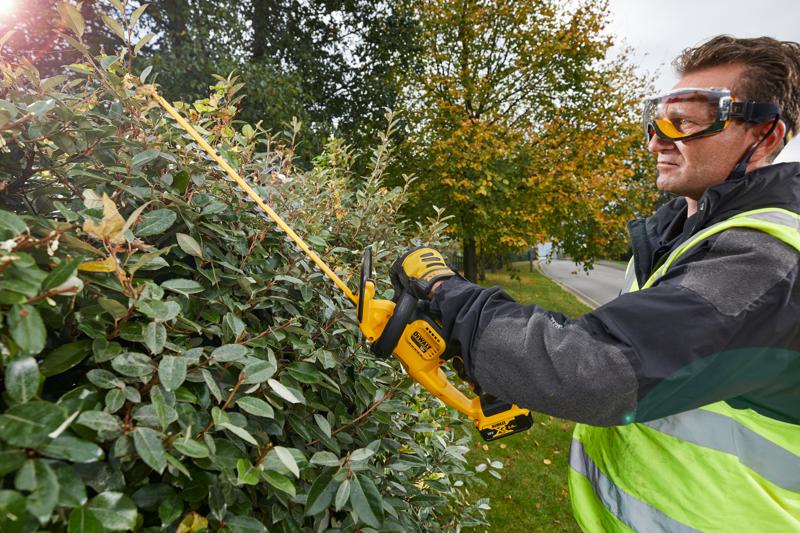 Persoon trimt struiken met een DEWALT DCM563PB heggenschaar buiten, naast een straat met herfstbomen.